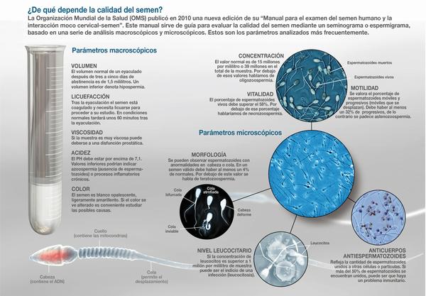 Semen quality of young men in south-east Spain down by 38 percent in the last decade Semen quality of young men in south-east Spain down by 38 percent in the last decade